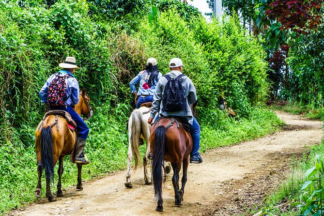 Cocora Valley and Salento Horseback Riding Day Tour - Inclusions and Additional Info