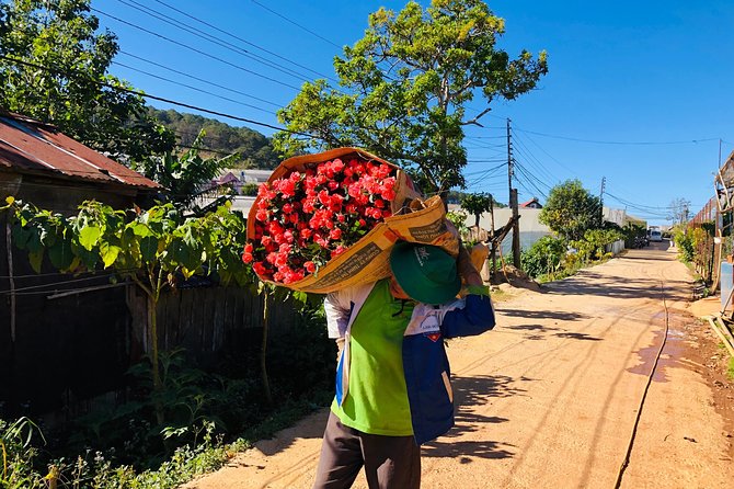 Coffee Class and DaLat Outskirt Tour - Tour Overview