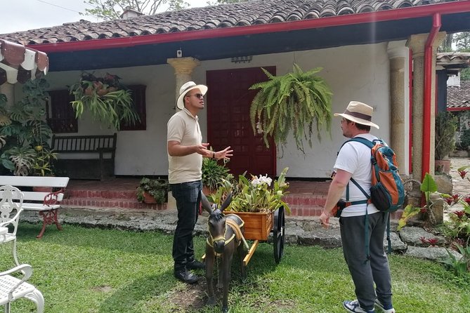 Coffee Farm - Group Tour and Daily Departure - Itinerary Overview