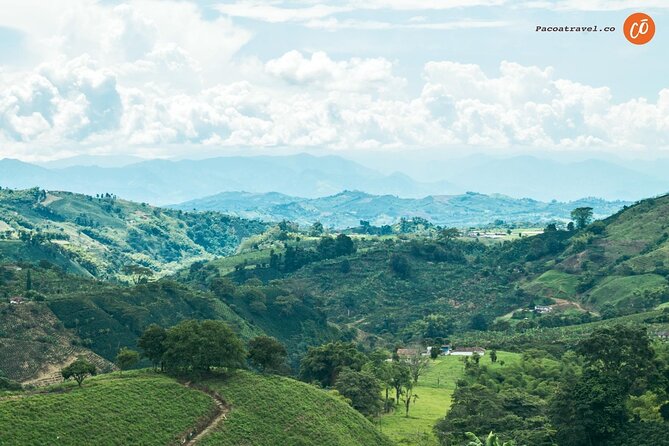 Coffee Heritage, a Multisensory Experience - Detailed Itinerary