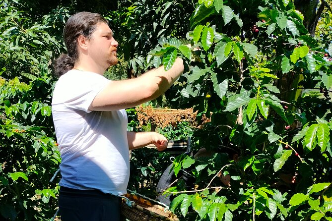 Coffee Tour in Lake Atitlán