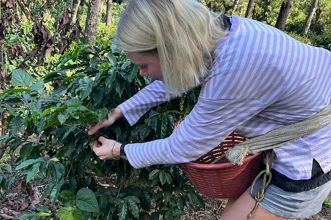 Coffee Tour Near the Agua Volcano With Tasting - Inclusions and Exclusions