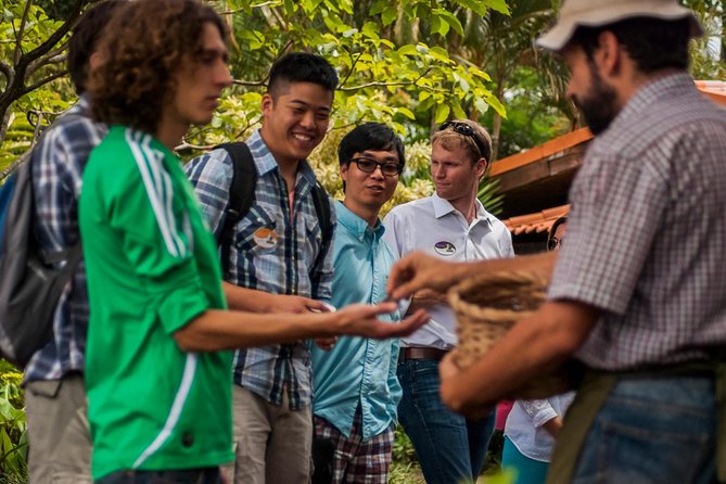 Coffee Tour + Poás Volcano Experience From San José - Amenities Provided