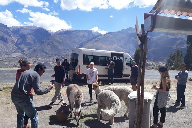Colca 2 Days 1 Conventional Night - Pricing and Inclusions