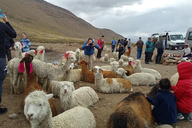 Colca Canyon 2 Days 1 Night - Inclusions and Amenities