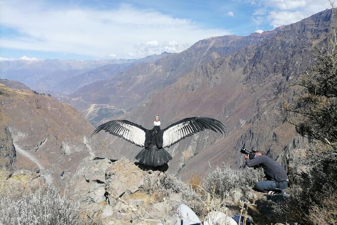 Colca Canyon Full Day Arequipa - Pickup Information