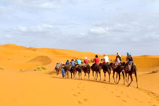 Combined Toubkal Trekking and Zagora Desert Tour - Pickup Details
