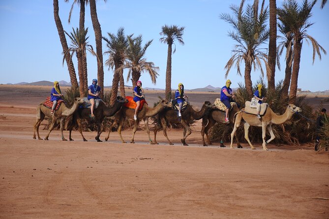 Combo Quad & Camel in the Jebilat Desert - Destination: Marrakech, Morocco
