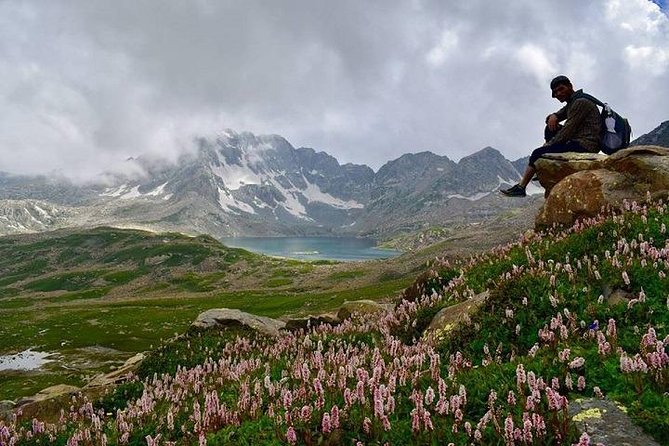 Complete Himachal Tour 8 Nights 9 Days Starting From Delhi - Itinerary Overview