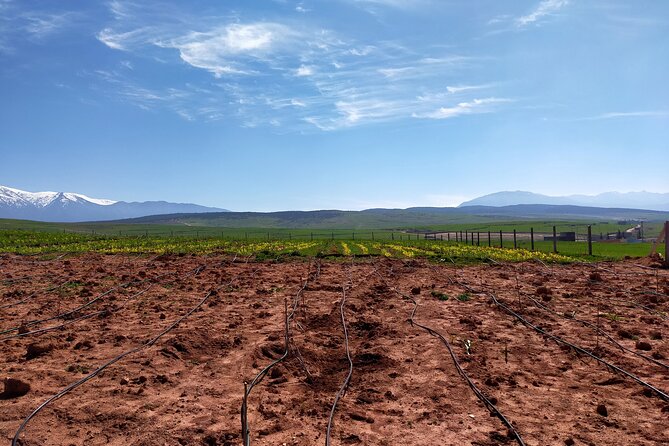 Cooking Class in Atlas Mountain From Marrakech - Itinerary and Activities