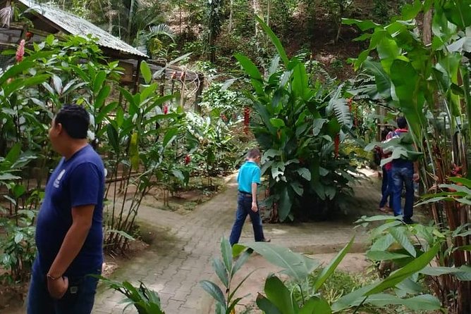 Copan Bird Park - Meeting and Pickup Details