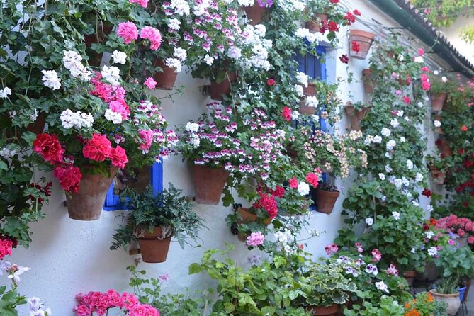 Cordoba Patios & Flowers Private Tour - Included Services