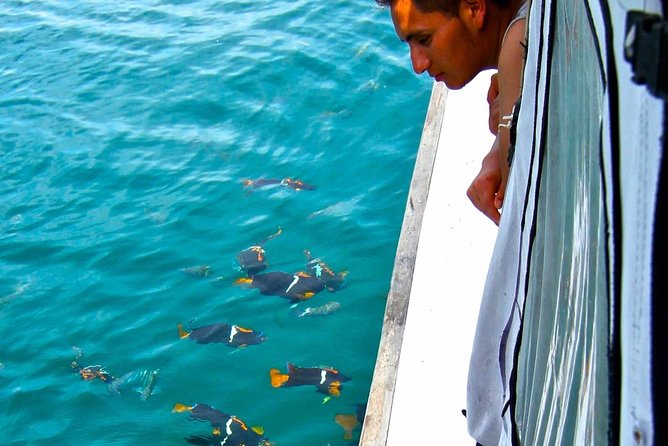 Costa Diving Tour – Machalilla National Park