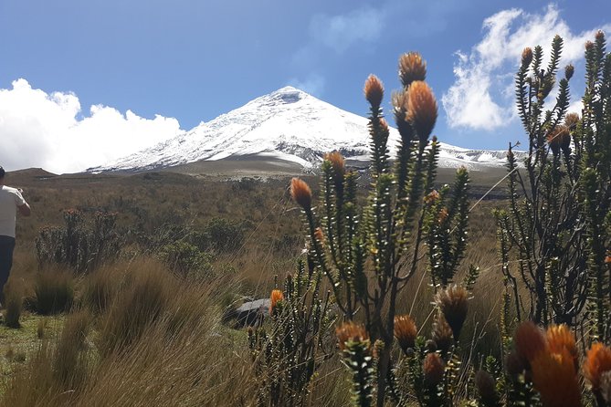 Cotopaxi Volcano PRIVATE Day Trip - Exclusions