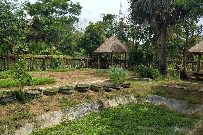 Countryside Cooking Class - Class Details