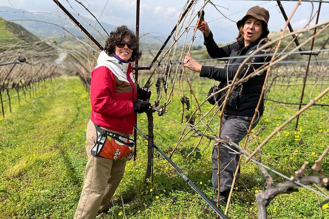 Cretan Wine Tour and Tasting With a Local Expert - Location Details