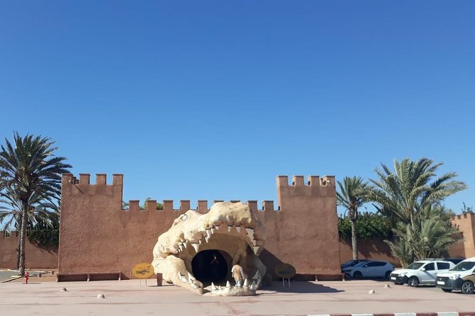 Croco Tour: Transfer to Crocoparc Agadir (Tickets Included) - Highlights of the Experience