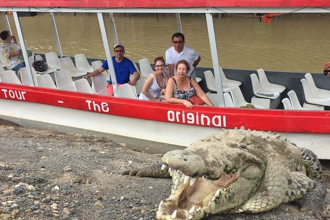 Crocodile Safari Expedition & Carara National Park. Private Tour - Pickup and Transportation