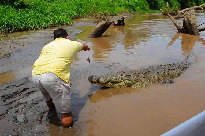 Crocodiles Safari & Zipline Adventure - Private Sightseeing Tours
