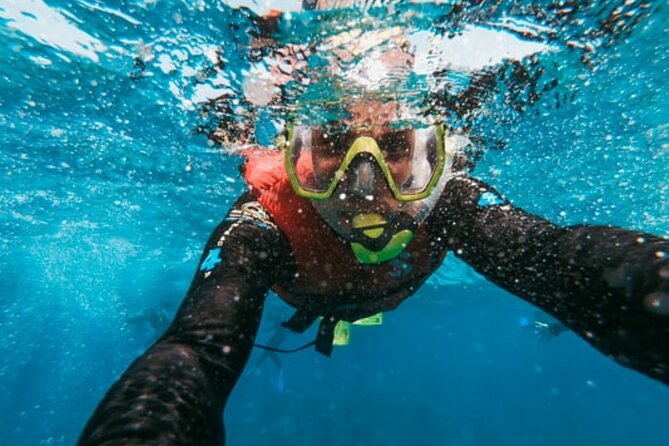 Cruise Guest Half Day Small Group Snorkel With Private Transport - Location Details