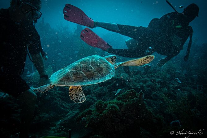 Cruise Guest Try Scuba Diving for Uncertified Divers W/ Transport - Inclusions and Exclusions