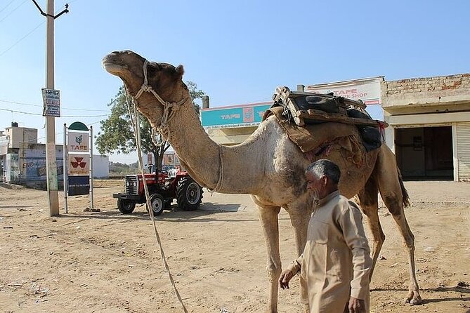 Cultural Evening in the Thar Desert - Jaisalmer - Inclusions