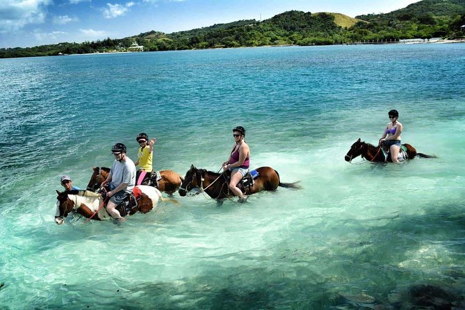 Customized Private Tour With Snacks - Tour Itinerary and Highlights