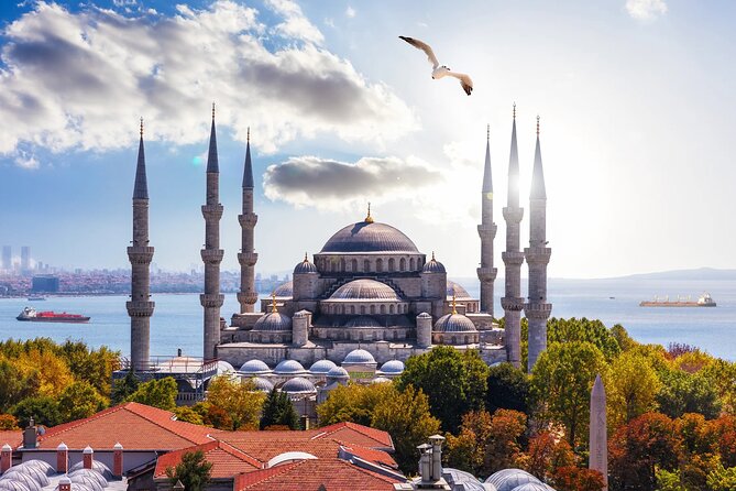 Daily Private Tour of Istanbul With Pickup by VIP Car - Additional Information and Requirements