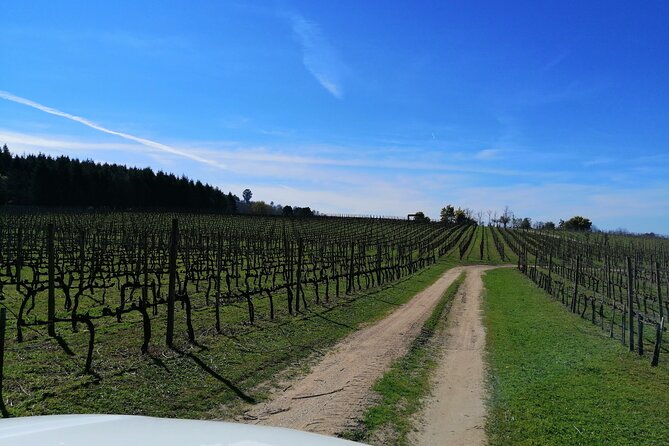 Dao Wine Route Experience, Full-Day From Coimbra - Itinerary Overview