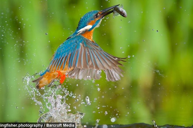 Dawn Bird Watching on Lake Kivu - Bird Watching Equipment
