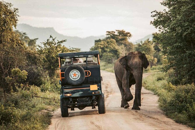 Day Excursions to Udawalawe From Galle (Transfer Only)