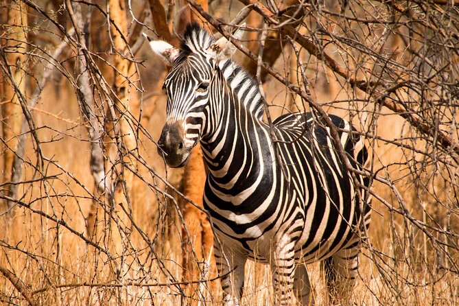 Day Safari Trip to Selous Game Reserve From Zanzibar - Inclusions and Amenities