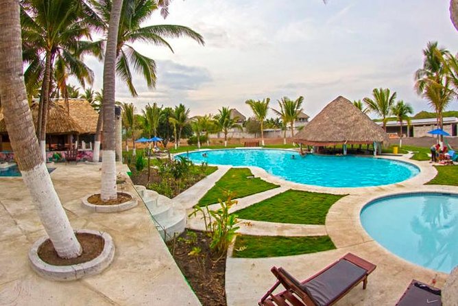 Day Tour Between Mangroves, Fishing & Black Sand Beach Activities + Lunch - Itinerary Highlights