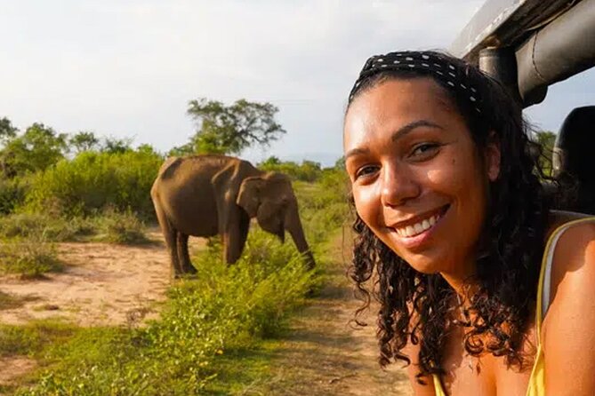 Day Tour From Colombo to Minneriya National Park Jeep Safari - Meeting Point Options