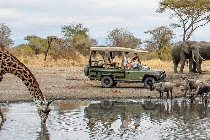 Day Tour in Lake Manyara National Park – Paradise Tour