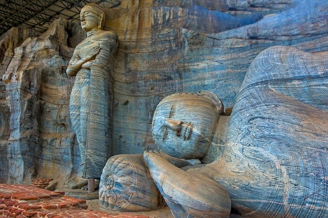 Day Tour to Dambulla And Polonnaruwa Ancient City From Colombo - Tour Highlights