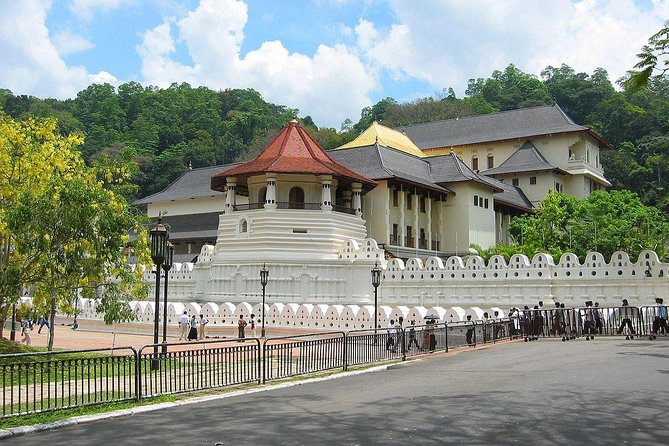 Day Tour To Kandy With Ranawana Purana Rajamaha Viharaya From Negombo