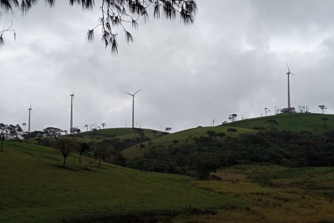 Day Tour to Nuwaraeliya From Kandy - Pickup and Start Time