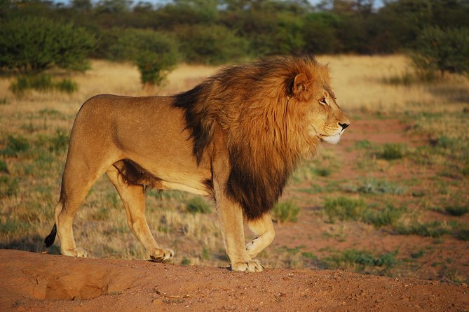 Day Tours In Nairobi - Itinerary Details
