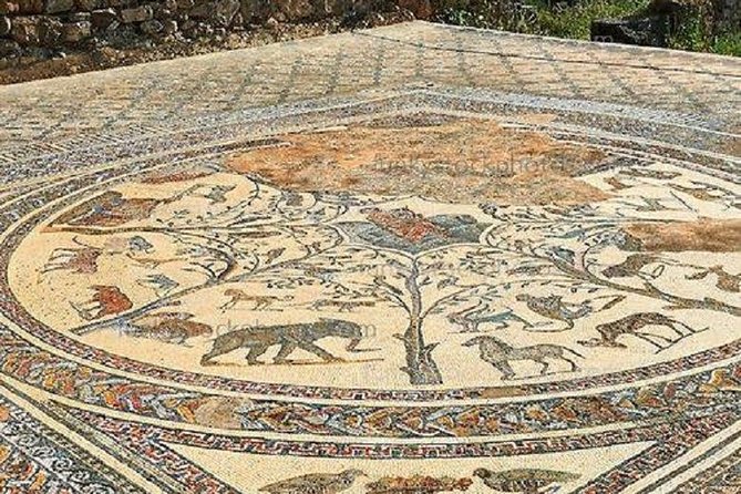 Day Trip – Casablanca > Meknes > Volubilis