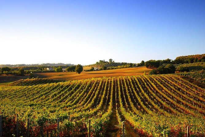 Day Trip From Florence: Deluxe Wine Tasting Tour in Montalcino - Private Tour - Transportation Details