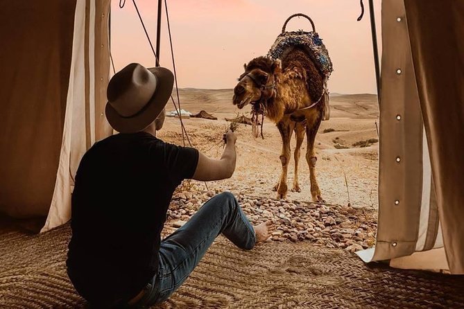 Day Trip From Marrakech to Agafay Desert and Atlas Mountains - Pickup Details
