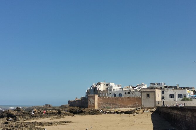 Day Trip to Essaouira From Marrakech - Meeting Point and Pickup Time