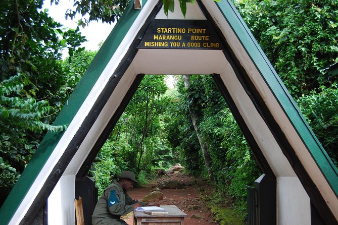 Day Trip to Kilimanjaro Hike to Mandara Hut - Whats Included in Your Experience