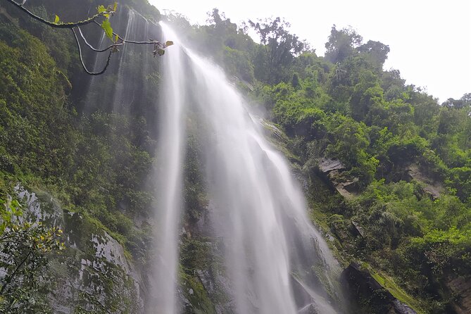 Day Trip to La Chorrera Park—Hiking Experience to Highest Waterfall in Colombia - Highlights