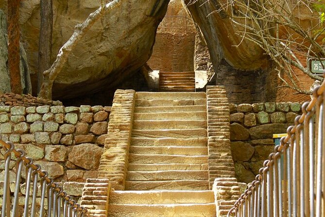 Day Trip to Minneriya National Park and Sigiriya From Pasikuda