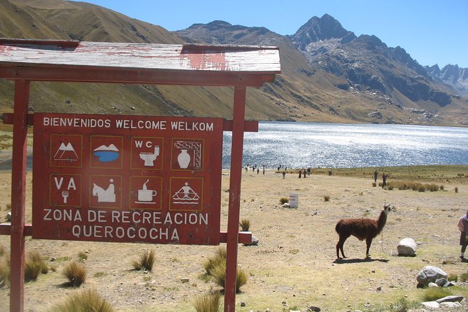 Day Trip to the Pre-Inca Ruins of Chavín From Huaraz - Price and Booking