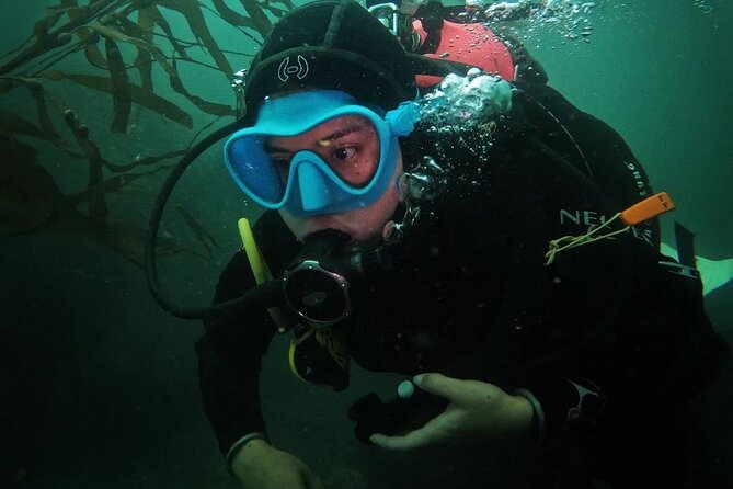 Deep Dive Discovery Scuba Diving in Paracas - Pricing Details
