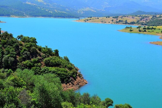 Deer of the Atlas : Tazekka Natural Park & Ifrane Eco Tour | Private & Luxury - Wildlife Encounters in the Atlas
