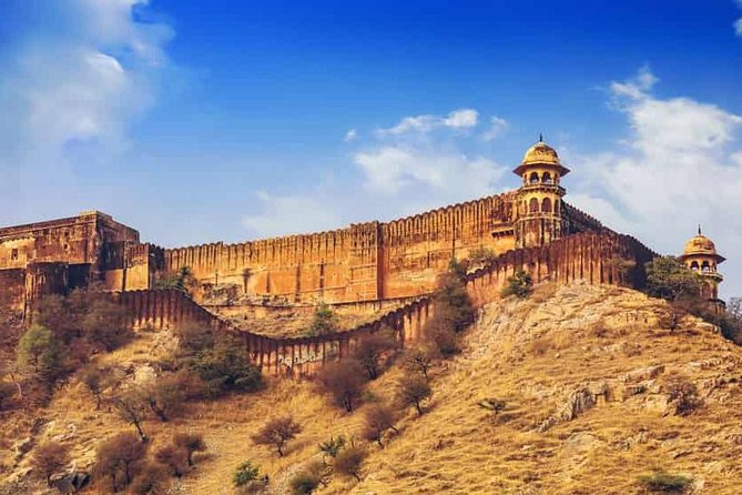 Delhi Agra Jaipur Tour With Ranthambore - Tiger Safari Tour 8-Days - Cancellation Policy